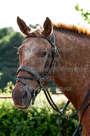 Grove_and_Rufford_Thaymar_Icecream_5th_July_2016_004