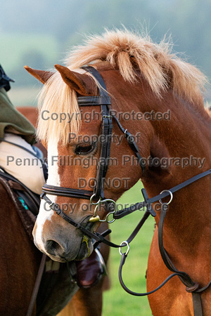 Quorn_Willoughby_on_the_Wolds_26th_Aug _2019_013
