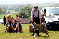 South_Notts_Lurcher_Show_14th_July_2013.015