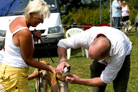 South_Notts_Lurcher_Show_14th_July_2013.001