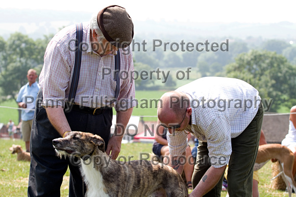 South_Notts_Lurcher_Show_14th_July_2013.018
