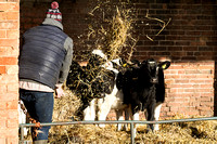 South_Notts_Hoveringham_28th_Jan_2016_003