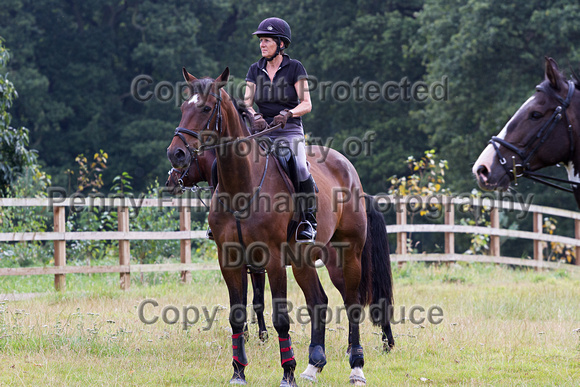 Grove_and_Rufford_Ride_5th_Aug_2014.014