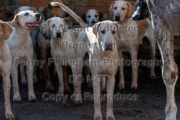 Grove_and_Rufford_Scaftworth_25th_Feb_2020_007