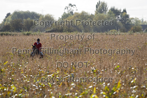 South_Notts_Hoveringham_24th_Oct_2013.507