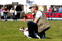 Burghley Game Fair, Chase the Bunny (27th May 2013)