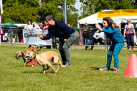 Burghley_Game_Fair_Chase_The_Bunny_27th_May_2013_.009