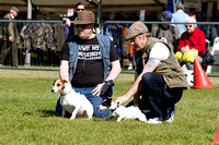 Burghley_Game_Fair_Chase_The_Bunny_27th_May_2013_.012
