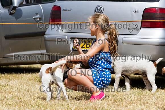 Grove_and_Rufford_Show_Child_Handler_18th_July_2015_004