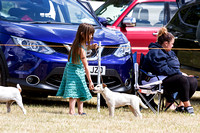 Grove_and_Rufford_Show_Child_Handler_18th_July_2015_002