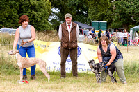 Grove_and_Rufford_Show_Winners_18th_July_2015_003