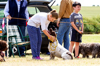 Grove and Rufford Hunt Terrier and Lurcher Show, Child Handler (18th July 2015)