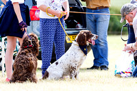 Grove_and_Rufford_Show_Child_Handler_18th_July_2015_008