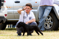Grove_and_Rufford_Show_Child_Handler_18th_July_2015_011