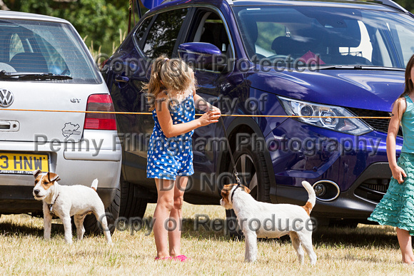 Grove_and_Rufford_Show_Child_Handler_18th_July_2015_001