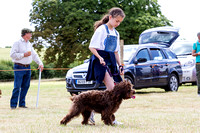 Grove_and_Rufford_Show_Child_Handler_18th_July_2015_018