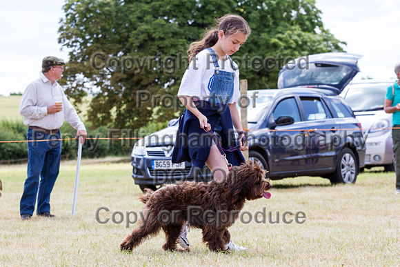 Grove_and_Rufford_Show_Child_Handler_18th_July_2015_018