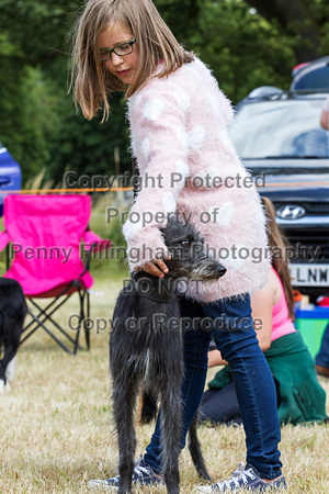 Grove_and_Rufford_Show_Child_Handler_18th_July_2015_003
