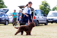 Grove_and_Rufford_Show_Child_Handler_18th_July_2015_020