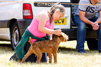Grove_and_Rufford_Show_Child_Handler_18th_July_2015_009