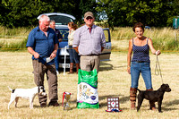 Grove_and_Rufford_Show_Winners_18th_July_2015_010
