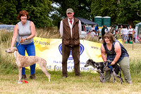 Grove_and_Rufford_Show_Winners_18th_July_2015_004