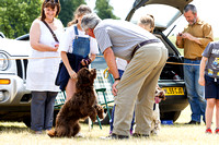 Grove_and_Rufford_Show_Child_Handler_18th_July_2015_017