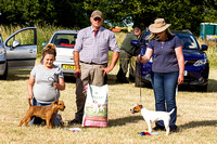 Grove_and_Rufford_Show_Winners_18th_July_2015_009