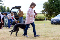 Grove_and_Rufford_Show_Child_Handler_18th_July_2015_010