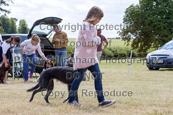 Grove_and_Rufford_Show_Child_Handler_18th_July_2015_010
