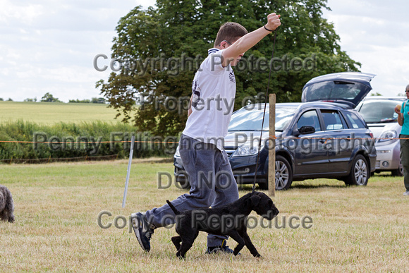 Grove_and_Rufford_Show_Child_Handler_18th_July_2015_014