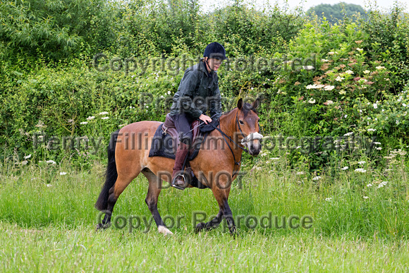 Grove_and_Rufford_Ride_Laxton_18th_June_2019_098
