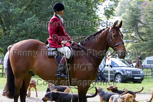 Chatsworth_Hound_Parade_Saturday_30th_Aug_2014.012