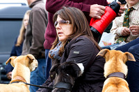 Ecclesfield_Beagles_Terrier_and_Lurcher_Show_Lurchers_13th_June_2015_003