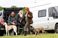 Ecclesfield_Beagles_Terrier_and_Lurcher_Show_Lurchers_13th_June_2015_016