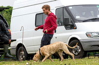 Ecclesfield_Beagles_Terrier_and_Lurcher_Show_Lurchers_13th_June_2015_019