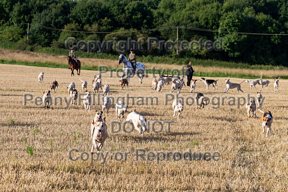 Grove_and_Rufford_Hound_Exercise_Eakring_19th_Aug_2017_020