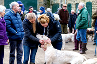 Grove_and_Rufford_Letwell_25th_Jan_2020_009