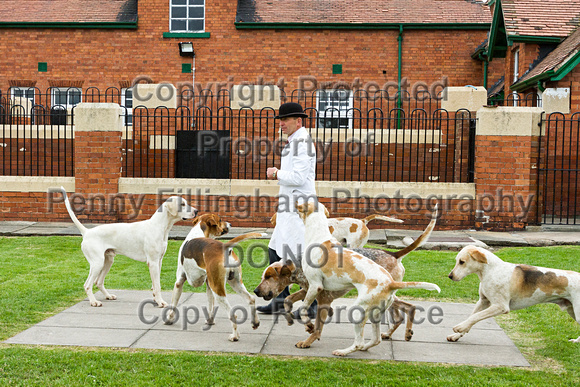 Grove_and_Rufford_Puppy_Show_20th_June_2015_292