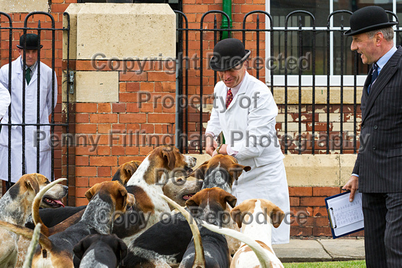 Grove_and_Rufford_Puppy_Show_20th_June_2015_087