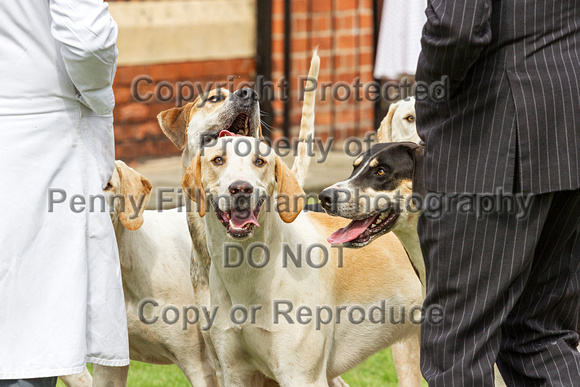 Grove_and_Rufford_Puppy_Show_20th_June_2015_123
