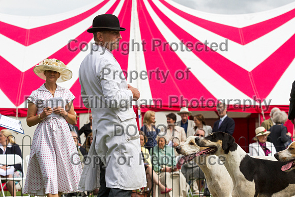 Grove_and_Rufford_Puppy_Show_20th_June_2015_133