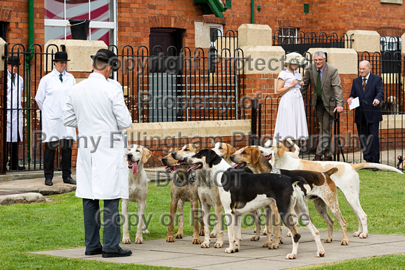 Grove_and_Rufford_Puppy_Show_20th_June_2015_117