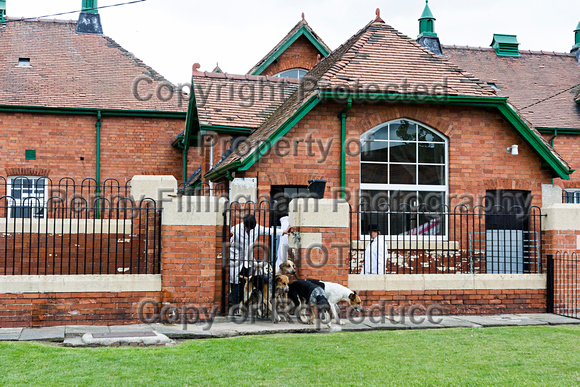 Grove_and_Rufford_Puppy_Show_20th_June_2015_307
