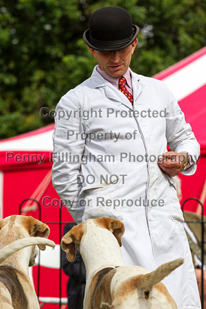 Grove_and_Rufford_Puppy_Show_20th_June_2015_192