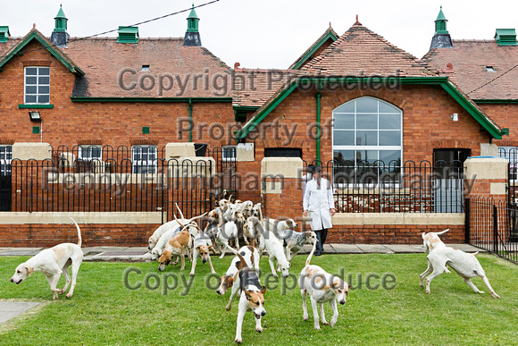 Grove_and_Rufford_Puppy_Show_20th_June_2015_327