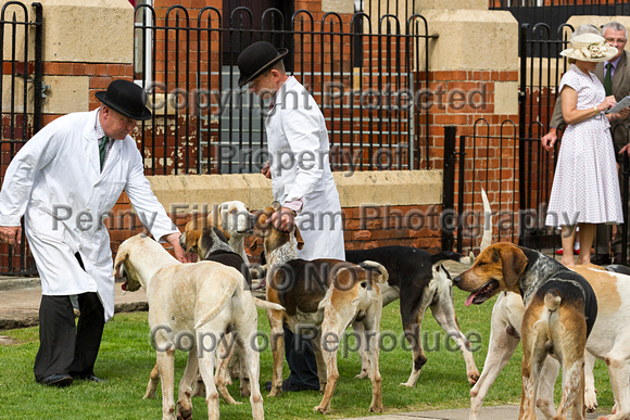 Grove_and_Rufford_Puppy_Show_20th_June_2015_119
