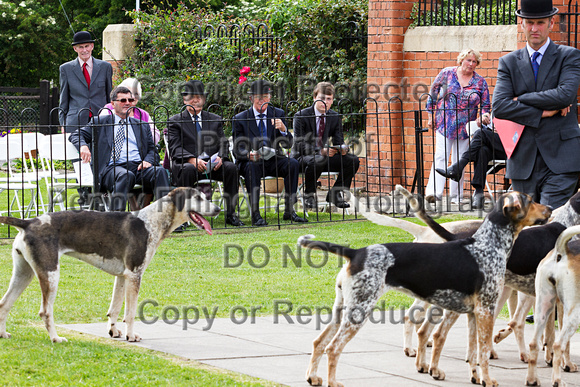 Grove_and_Rufford_Puppy_Show_20th_June_2015_231