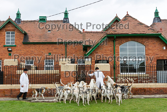 Grove_and_Rufford_Puppy_Show_20th_June_2015_333