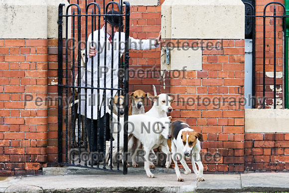 Grove_and_Rufford_Puppy_Show_20th_June_2015_316